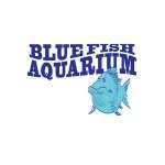 Blue Fish Aquarium - @bluefishaquarium - Instagram