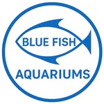 Blue Fish Aquariums - @bluefishaquariumscle - Instagram