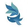 Blue Fish Cuenca - @bluefish.ec - TikTok