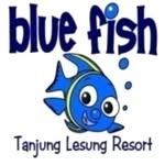 Blue Fish Hotel - @bluefishtjlesung - Instagram