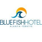 BLUE FISH HOTEL🐬 - @bluefishhotel - Instagram
