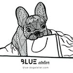Blue Atelier Pet Store - @bluepetstore - Instagram