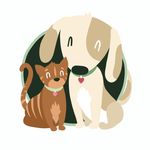 Blue Mountains Pet Resort - @bluemountainspetresort - Instagram