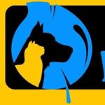 BLUE PET Veterinaria - @blue_pet_tiendaparamascotas - Instagram