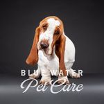 Blue Water Pet Care - @bwpetcare - Instagram