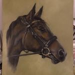 Missy & Blue Pet Portraits - @missyandblue_pet_portraits - Instagram