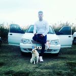 mohsen.. miramini - @blue_pet._amini - Instagram
