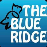 The Blue Ridge Pet Hospital - @blueridgepets - Instagram