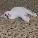 bloo - @blueregardlemieuxregard - Instagram