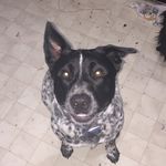 Blue Regard - @blue_regard_101 - Instagram