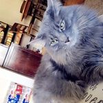 @blueregardqkazoo20 - Instagram