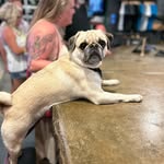 Jessie Lee - @blue_skys_barleywine - Instagram