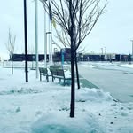 blue smith - @blue_is_friendly - Instagram