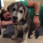Blue Smith - @bluethegobi - Instagram