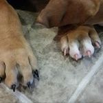 Mcleanandblythe Mason - @mcleanandblythe - Instagram