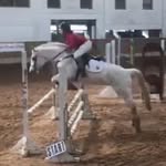 BoAndersonShannon - @boandersonshowjumping - Instagram