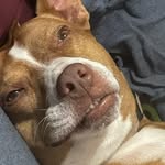 Bo Ayers Jr. - @jr.boayers - Instagram