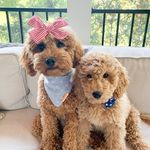 Blanton & Bowman - @blantonandbowman - Instagram