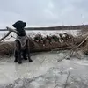 Bo Bryant🦆🦆 - @duckman9930 - TikTok