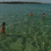 bo ellis 🌊 - @bo.ellis_ - TikTok