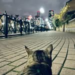 B O F U - @bofu001 - Instagram