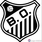 b.o futebol clube - @bofutebol - Instagram