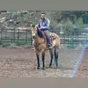 Bo Martinez - @bomartinez50 - TikTok