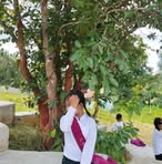 Nang Bo Moon - Facebook