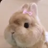 Ella Bo - @ella_bo_morris - TikTok
