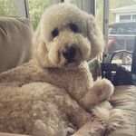 Bo Robertson - @bo_on_the_gram_20 - Instagram