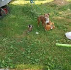 Bo Sanders - Facebook