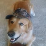 Bo Smith - @bo.smith.54922169 - Instagram