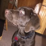 Bo Smith - @bo.smith.17 - Instagram