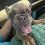 Bo Smith - Facebook