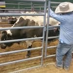 Bo Smith - @blessedbuckingbulls - Instagram