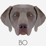 Bo & Lola Snyder - @botheweim - Instagram