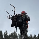 Bo Snyder - @bojsnyder - Instagram