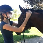 Bo // Taylor - @bo.the.thoroughbred - Instagram