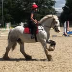 Bo Taylor - @bo_tay_eq - Instagram