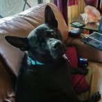 Bo Taylor - Facebook