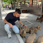 丸欸 - @bo__yuan__ - Instagram