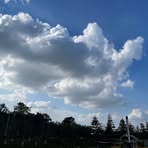 Bo Yuan - Facebook