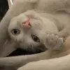 Bo Yuan - @boyuan696008 - TikTok