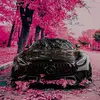 boyuan - @user5008143553116 - TikTok