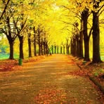 Boan Lin - Facebook