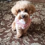 Bob Abraham - @bob.abraham.54 - Instagram