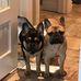 Bob Aitken - Facebook