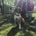 Robert Aitken - Facebook
