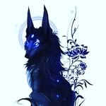 Bobby - @bobby.alaniz - Instagram