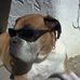 Bob Allsop - Facebook